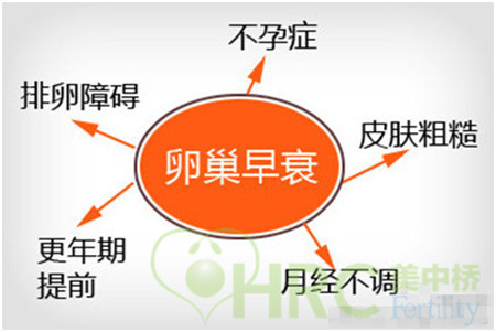 备孕美国试管婴儿饮食要求有哪些？