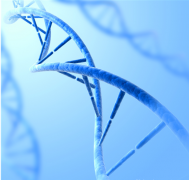 输卵管堵塞和染色体异常美国试管婴儿终圆梦