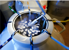 　美国试管中的冻精冻卵会损伤精子和卵子吗?