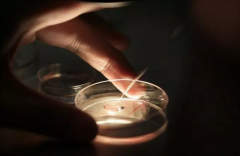 美国试管婴儿中对卵泡有什么要求？