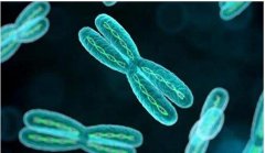 唐氏综合症在美国试管婴儿中是怎么处理的?