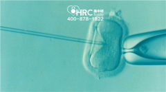 超过35周岁的女性该如何备孕美国试管婴儿？