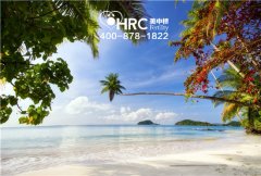 美国试管婴儿解析来了大姨妈就有排卵吗？