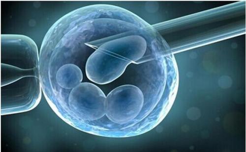 美中桥,试管婴儿,试管婴儿技术