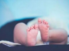 试管婴儿怎么算预产期