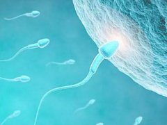 为什么别人做试管成功了？你却反复失败！